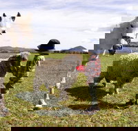 Taras Richmond Farmstay - Accommodation Search