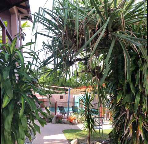 Pandanus Holiday Apartments - Accommodation Search 4