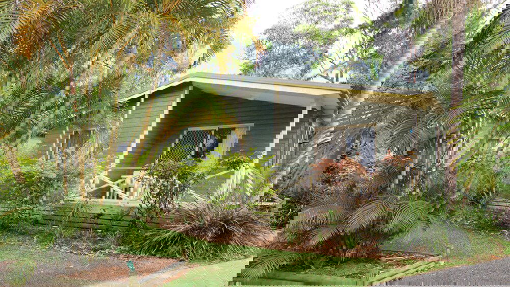 Arrawarra NSW Accommodation Search