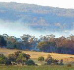 Candlebark Retreat - Accommodation Search