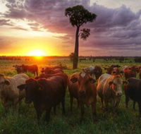 Myella Farm Stay - Accommodation Search