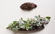 Sage Dining Rooms - thumb 9