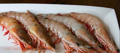 Tapas Tapas Bodega - Accommodation Search 22