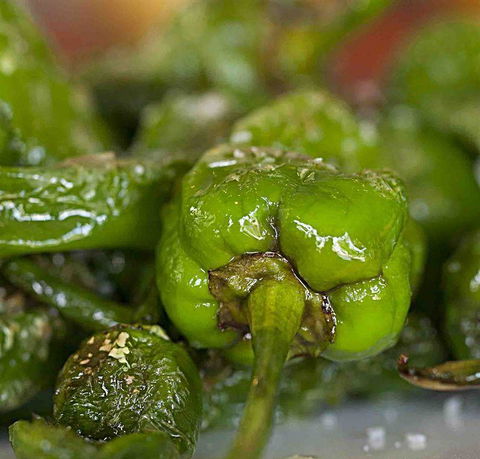Tapas Tapas Bodega - Accommodation Search 7