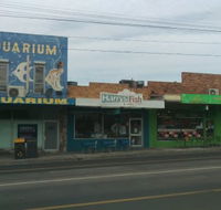 Harry's Fish  Chips - Accommodation Search