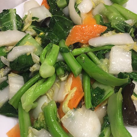 Mr Chef Dumpling - Accommodation Search 0