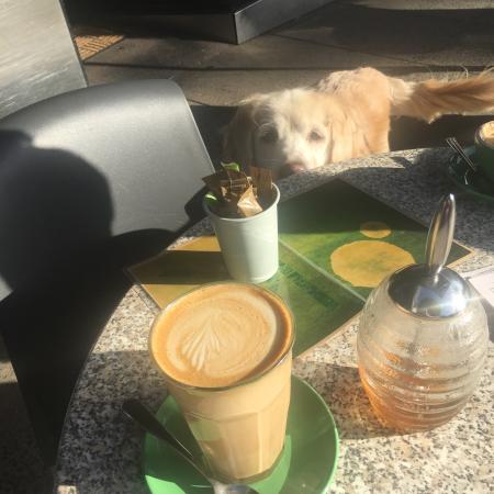 Espresso Koo - Accommodation Search 0