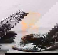 Only Mine - Accommodation Search