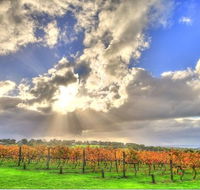Max's at Red Hill Estate - Accommodation Search