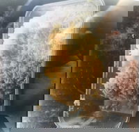 Noodle Dynasty - Accommodation Search