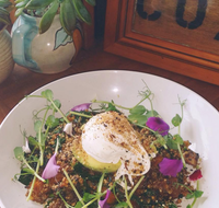 The Shak Organic Cafe  Wine Bar - Accommodation Search