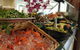 Berowra Waters Waterview Restaurant - thumb 0