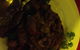 Kevin's Place - thumb 5