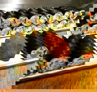 Freewave Sushi  Burgers - Accommodation Search