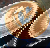 Salty Beardman - Accommodation Search