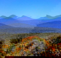 Arcadia Wines - Accommodation Search