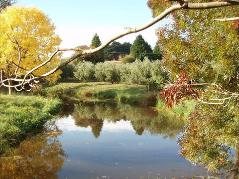 Cradle Coast Olives - Accommodation Search 0
