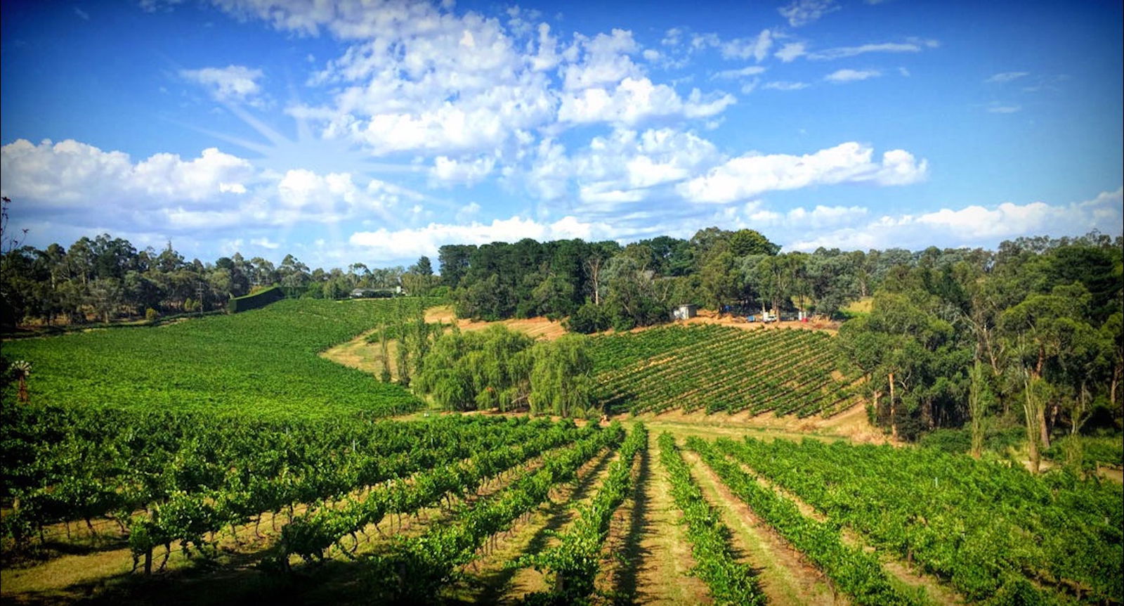 Wonga Park VIC Accommodation Search