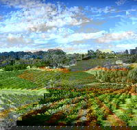 Kellybrook Winery and Kelly Brothers Cider - Accommodation Search