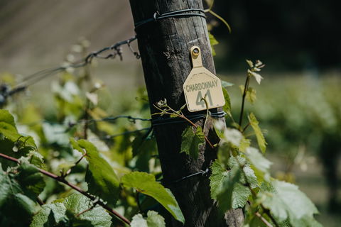 Kellybrook Winery And Kelly Brothers Cider - Accommodation Search 2