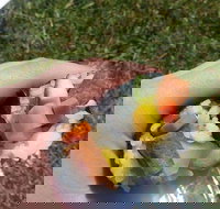 Yuri Sushi - Accommodation Search