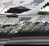 D Cafe - Accommodation Search