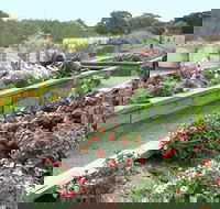 The Farmer's Place - Accommodation Search