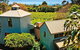 Curlewis Winery - thumb 0