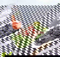 Nourish and Feed - Accommodation Search