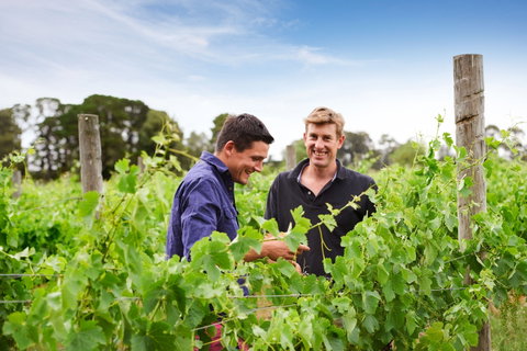 Shadowfax Winery - Accommodation Search 1