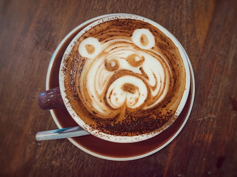The Mountain Brew Coffee - Accommodation Search 0