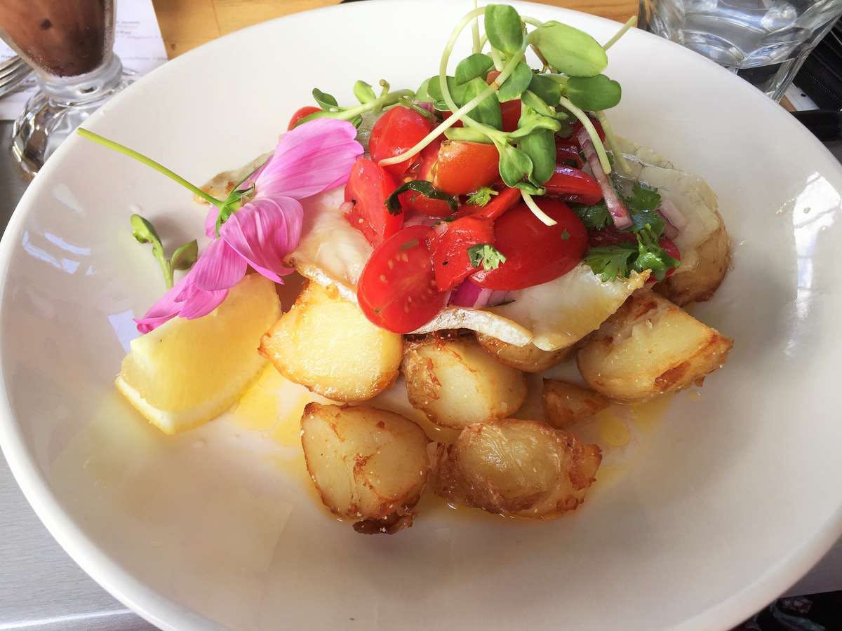 Back Creek NSW Accommodation Search