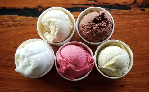 Bellingen Gelato - Accommodation Search 0