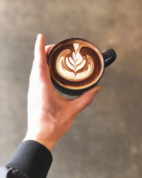Buddy Espresso - Accommodation Search 0