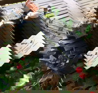 Hill of Promise Winery and Cellar Door - Accommodation Search