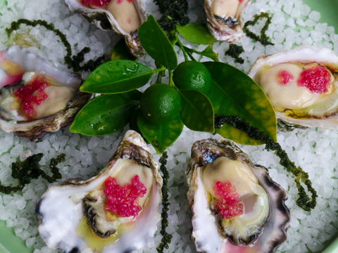 Bella Char Restaurant + Wine Bar - Accommodation Search 0