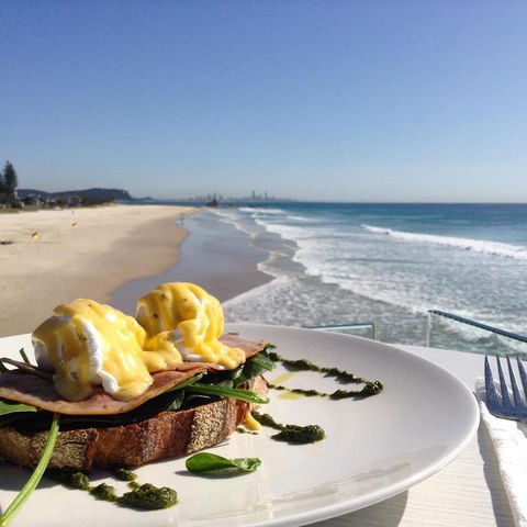 Chompers - Annerley - Accommodation Search 0