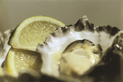 Pearly Oyster Bar And Farm - Accommodation Search 0