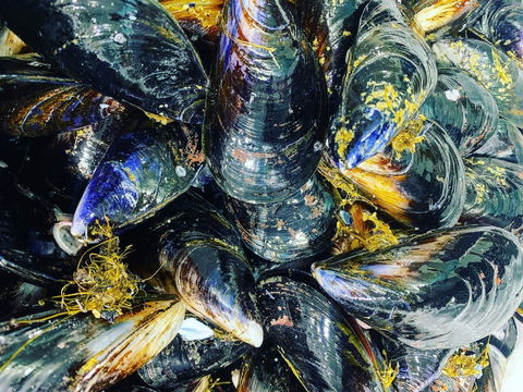 Pearly Oyster Bar And Farm - Accommodation Search 2