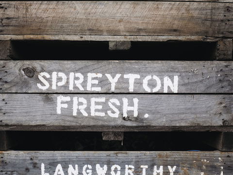 Spreyton Cider Co. - Accommodation Search 0