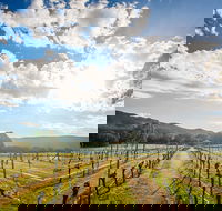 Fallen Giants Vineyard - Accommodation Search