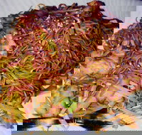 Silver Moon - Accommodation Search