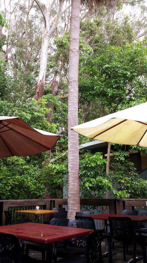 Rainforest Cafe - Accommodation Search 0