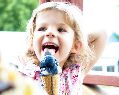 Kangaroo Valley Fudge House And Ice Creamery - Accommodation Search 2