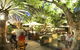 The Brisbane Hotel - thumb 0