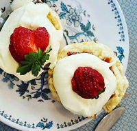 Cuisines - Accommodation Search