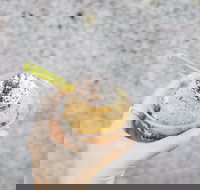 Mount Dandenong Hotel - Accommodation Search