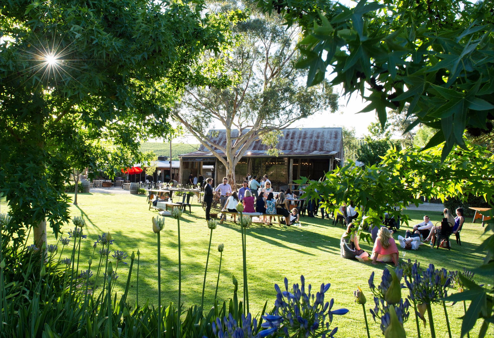 Woodside SA Accommodation Search