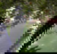 Noosa Waterfront Restaurant - Accommodation Search