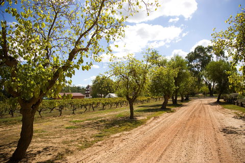 Tahbilk Winery And Vineyard - Accommodation Search 1